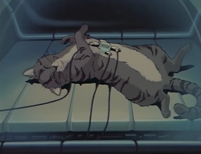 リリーキャット LILY C.A.T アニメ dvd FEATURE: Cruising the Crunchy-Catalog: 