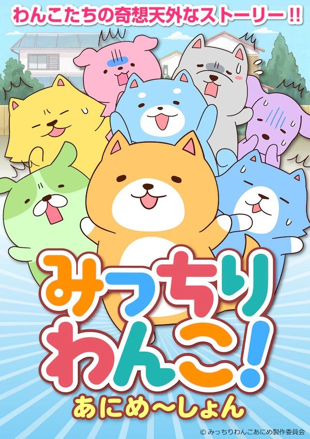 Congregate Animation Mitchiri Wanko! Animation key visual