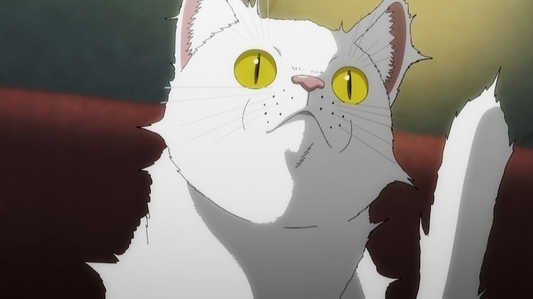 Anime Nyaight of the Living Cat estreia em julho de 2025