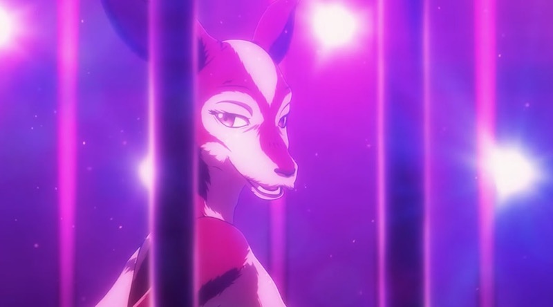 Anime News, Top Stories & In-Depth Anime Insights - Crunchyroll News