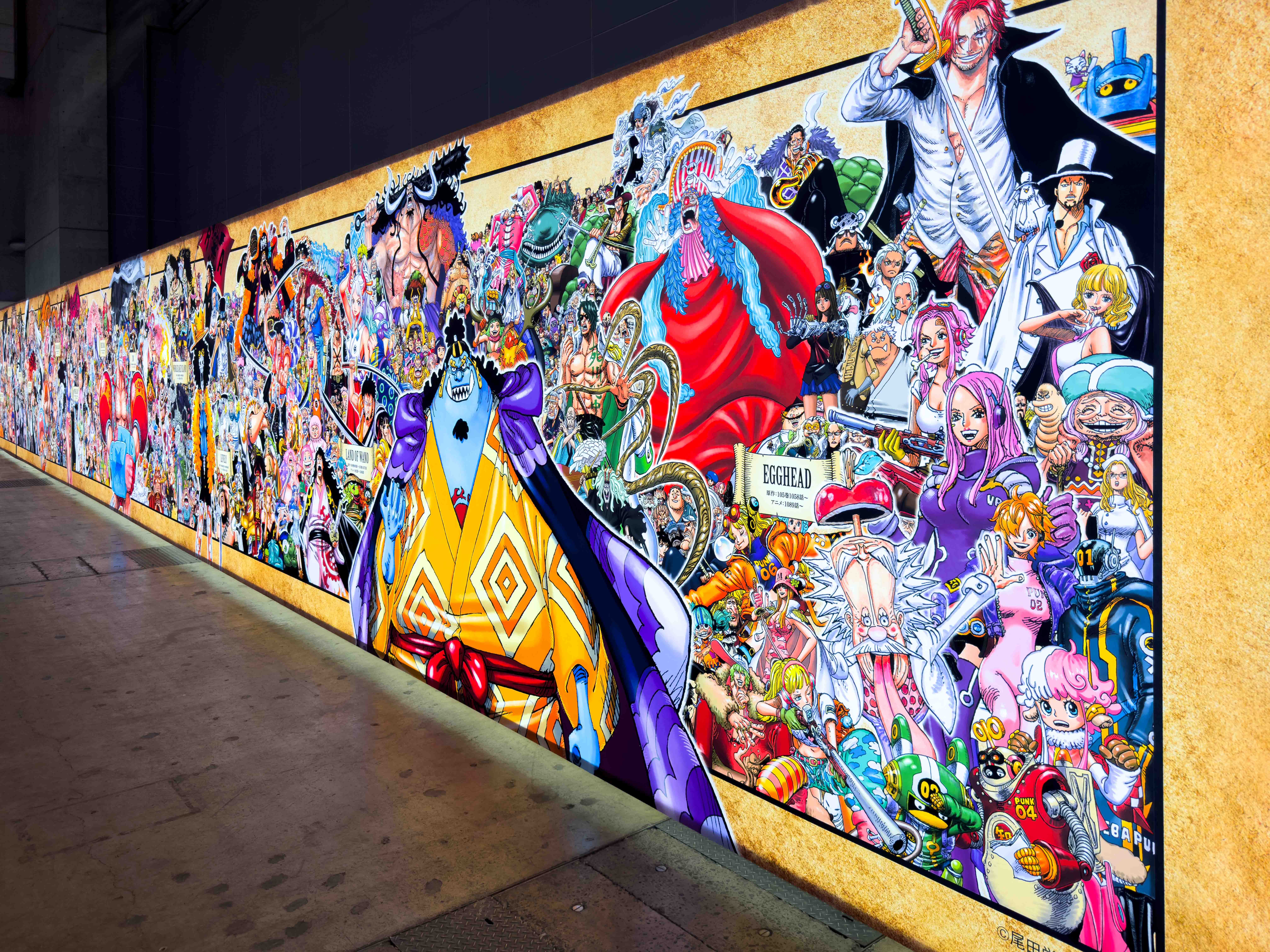 One Piece Day