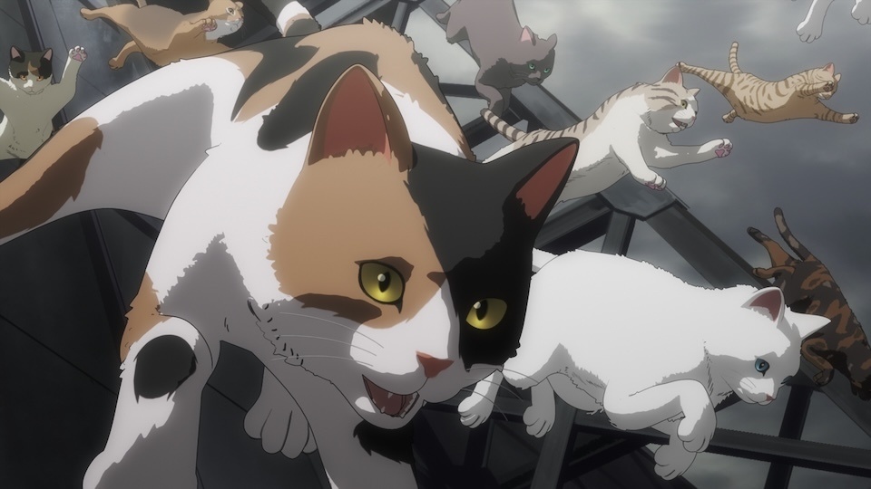 Anime News, Top Stories & InDepth Anime Insights Crunchyroll News