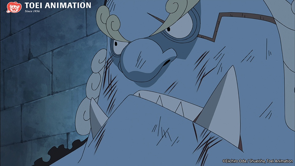 Jinbe: Complete Character Guide