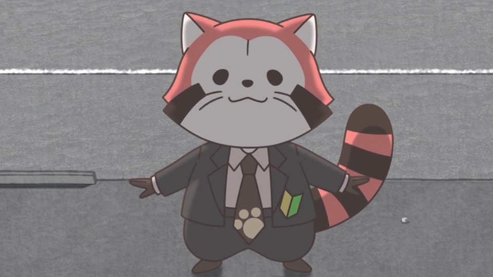 Rascal the Raccoon Anime Spin-Off Araiguma Calcaldan Releases 1st