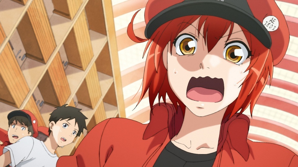 Cells at Work! Kabuki Stage Play Slated for April 2027 - Crunchyroll News