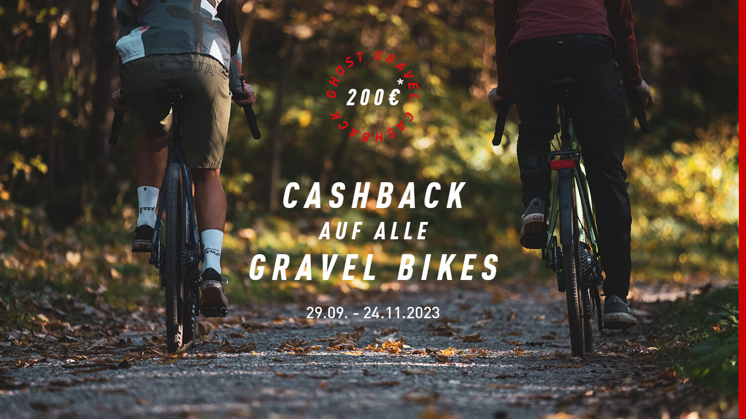 team dx cross gravel