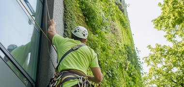 Ein Mensch in Klettermontur hält sich am Seil neben der begrünten Fassade einer Hauswand.