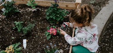 Ein junges Mädchen sitzt vor einem Hochbeet in der Hocke und fotografiert eine Blume mit dem Smartphone.