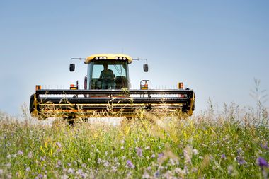 Eine Blumenwiese im Vordergunrd, ein Traktor mit Aufsatz zum mähen im Hintergrund.