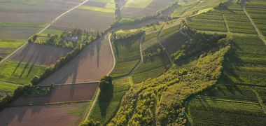 Weinberge und Felder von oben im Abendlicht