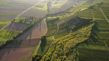 Weinberge und Felder von oben im Abendlicht