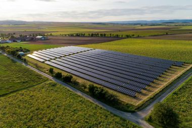 Luftaufnahme einer landwirtschaftlichen Fläche, die mit Solarpaneelen bedeckt ist. Drumherum grüne Wiesen.
