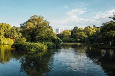 Ein ruhiger See gesäumt von grünen Bäumen im Abendlicht, am Horizont ein großes hohes Mehrfamilienhaus.