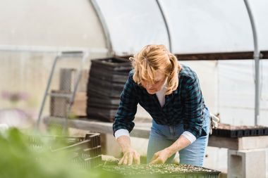 Eine Frau steht in einem Gewächshaus und kümmert sich um Setzlinge.