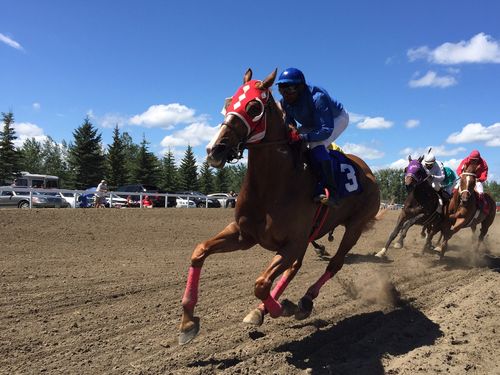 A horse race on a horse racing track