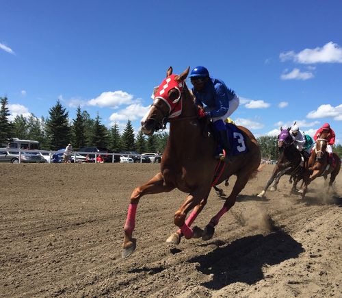 A horse race on a horse racing track
