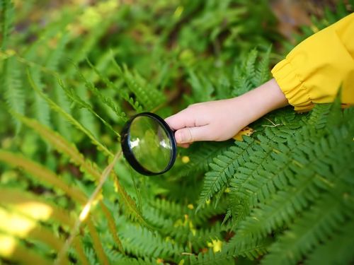 Child with magnifying glass