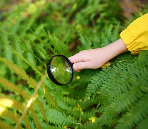 Child with magnifying glass