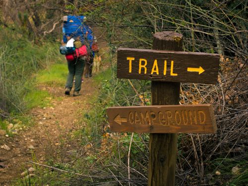 Sign in front of hiking trail in forest