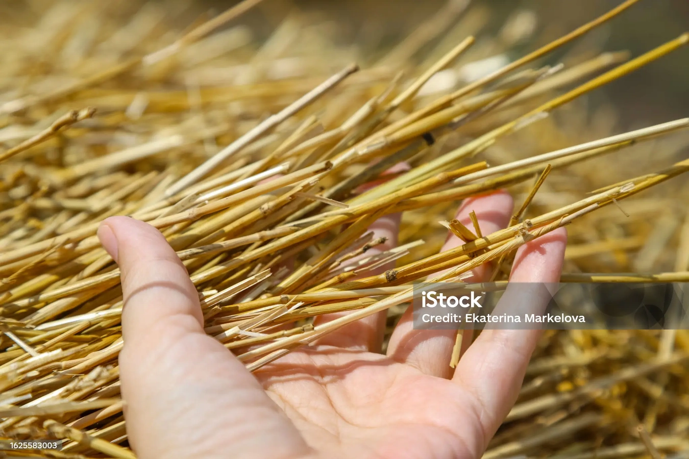 Clinging at straws