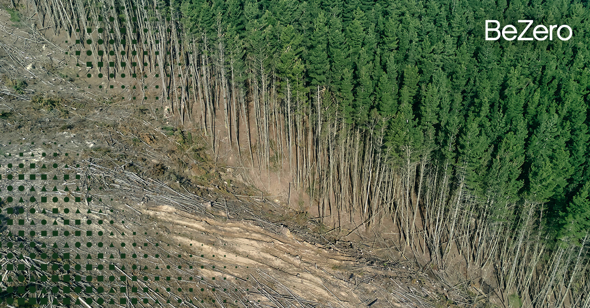 What Drives the Lowest BeZero Carbon Rating? | BeZero Carbon