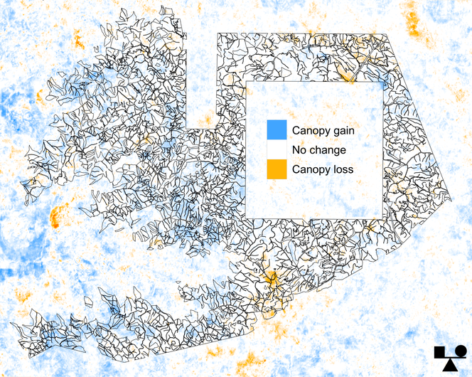 Ifm Tree Drivers of loss: a way forward for biodiversity claims? | BeZero Carbon