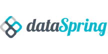 Logo with the text "dataSpring" in a mix of dark gray and teal, alongside an abstract geometric symbol.