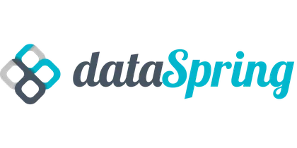 Logo with the text "dataSpring" in a mix of dark gray and teal, alongside an abstract geometric symbol.