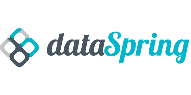 Logo with the text "dataSpring" in a mix of dark gray and teal, alongside an abstract geometric symbol.