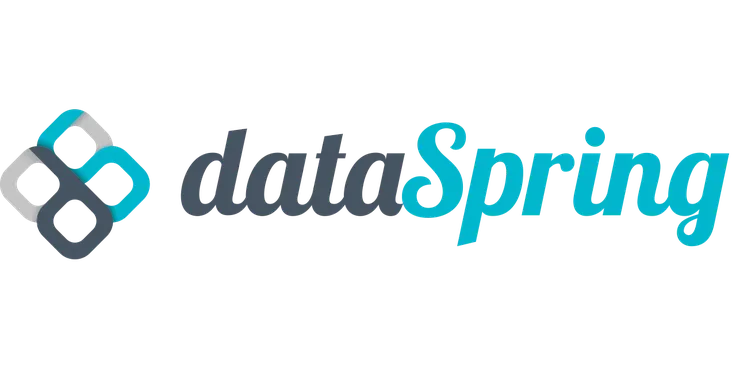 Logo with the text "dataSpring" in a mix of dark gray and teal, alongside an abstract geometric symbol.