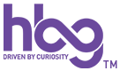 high beam global expert network logo