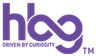 high beam global expert network logo