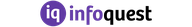 infoquest expert network logo