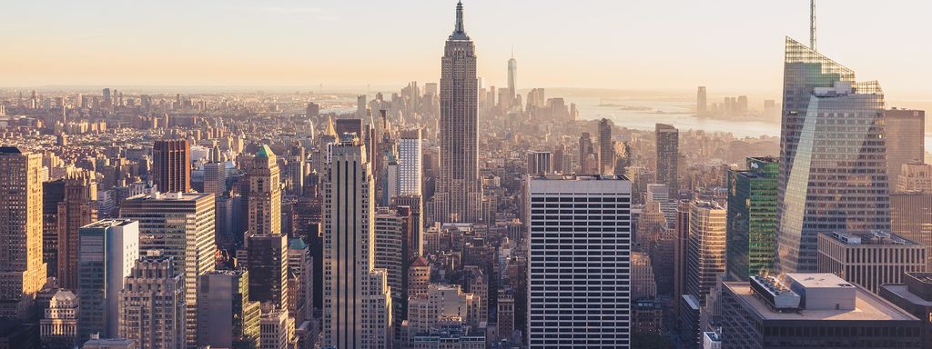 A picture of New York, where a large share of expert networks are based