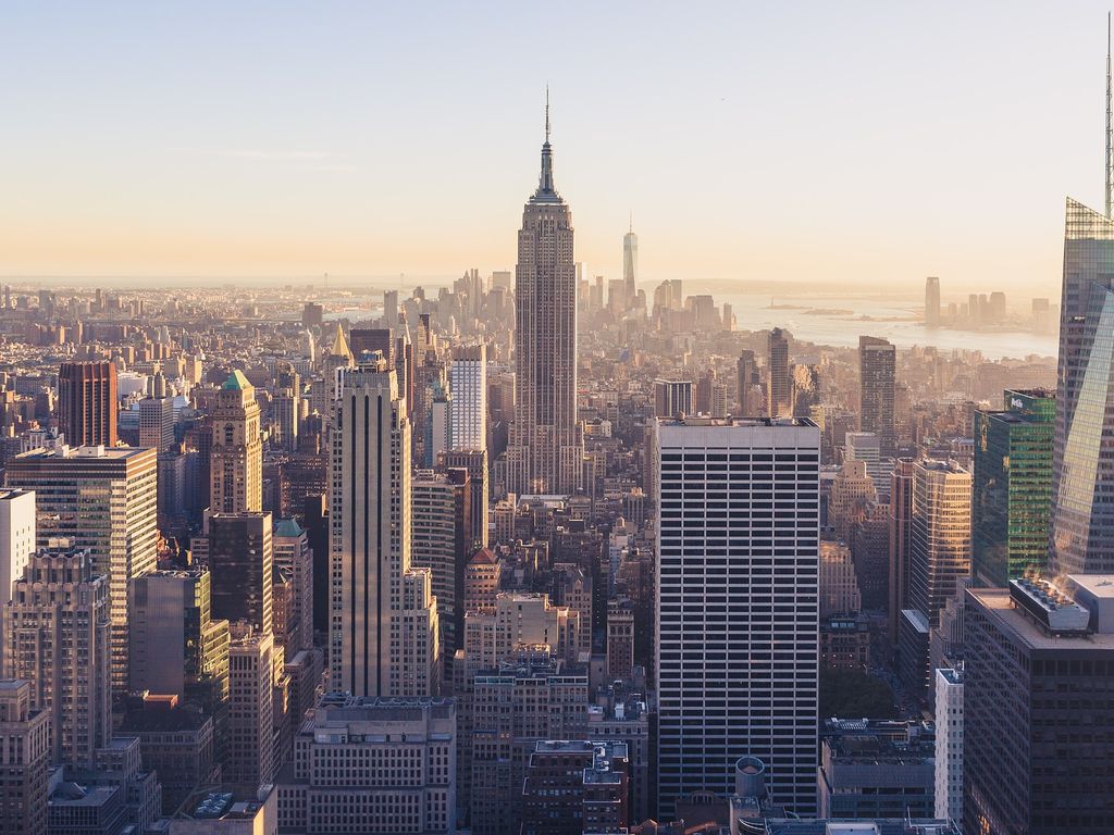 A picture of New York, where a large share of expert networks are based
