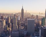 A picture of New York, where a large share of expert networks are based