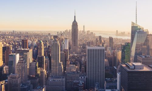 A picture of New York, where a large share of expert networks are based