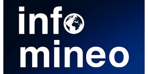 infomineo expert network logo