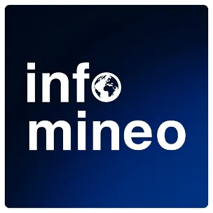 infomineo expert network logo