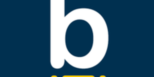 Bridger expert network logo