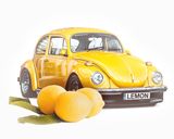 The lemon problem with expert networks