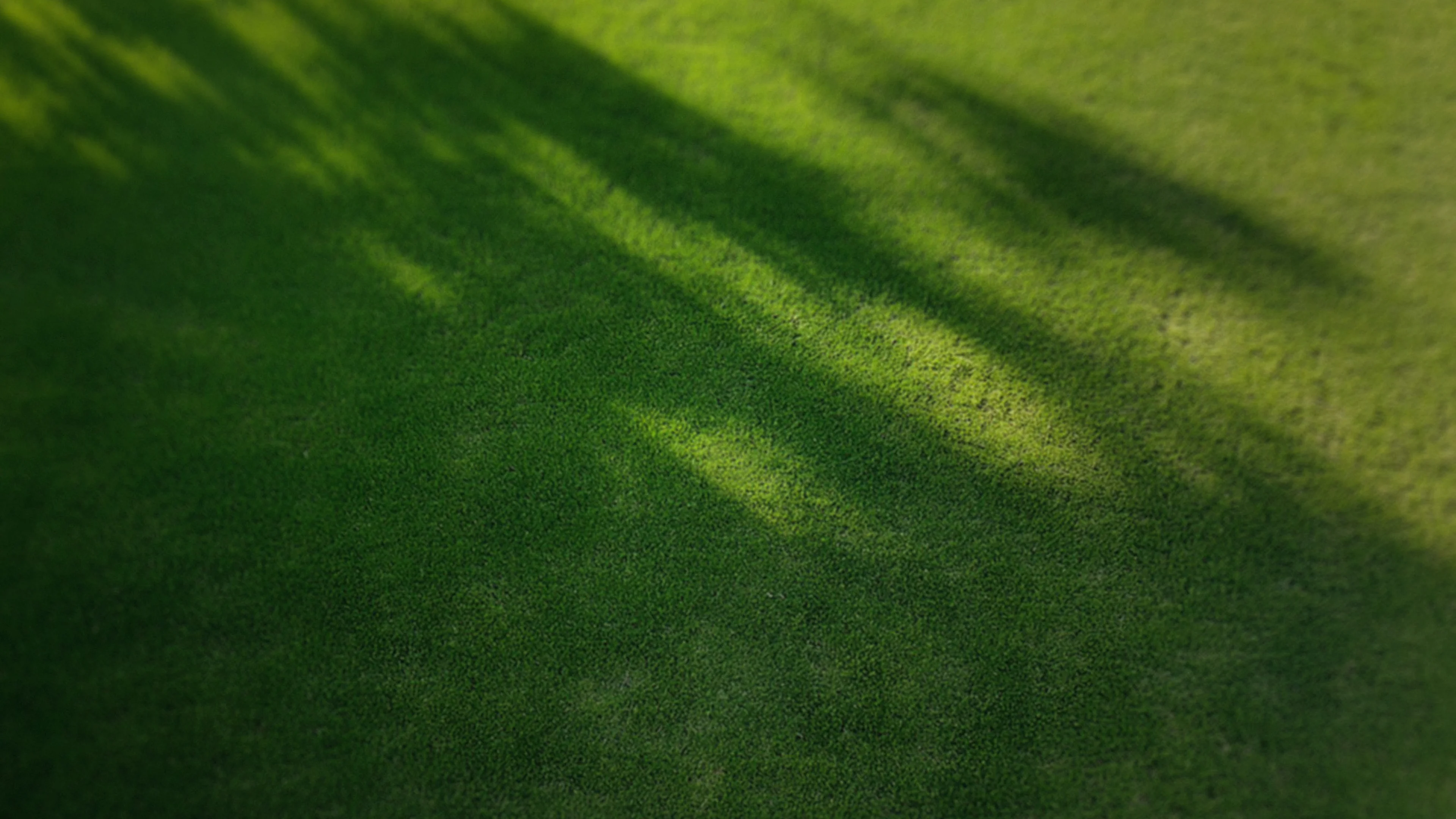 Late afternoon shadows fall over a beautiful bowling green