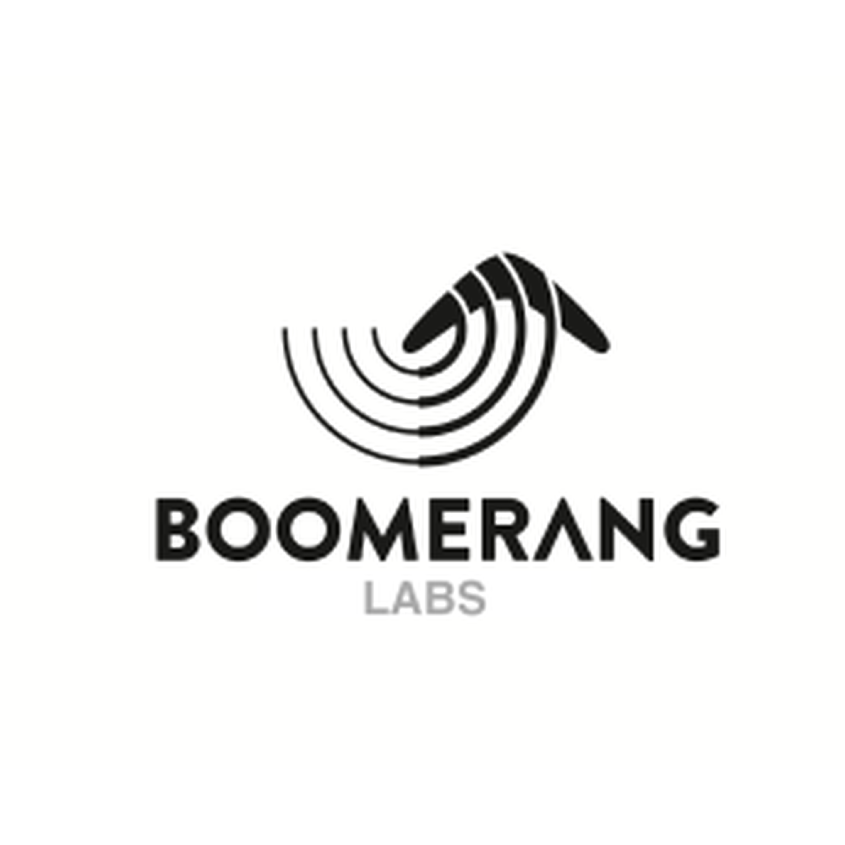 Logo for Boomerang Labs