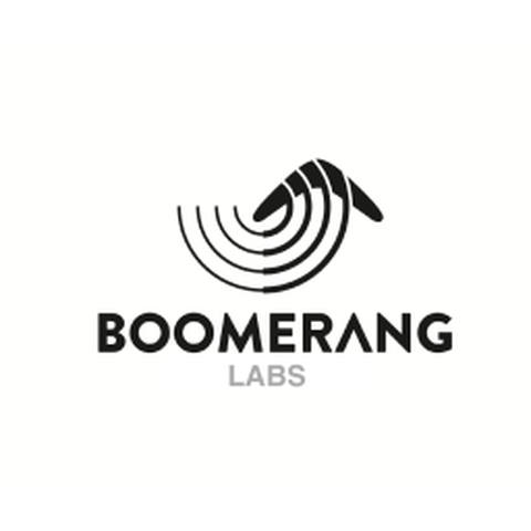 Logo for Boomerang Labs