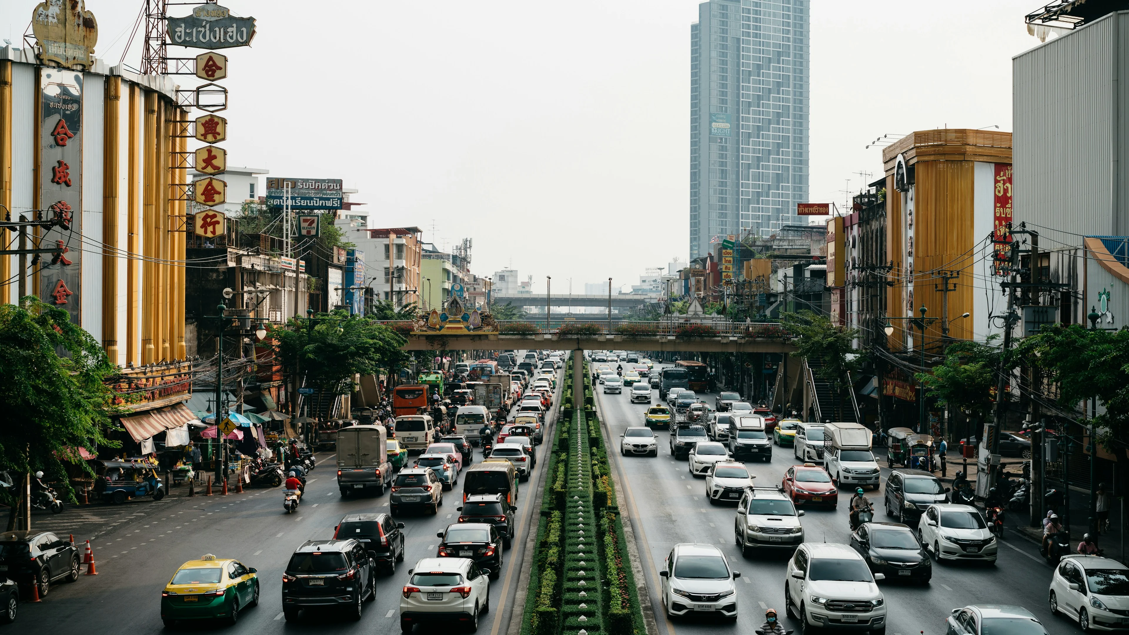 image of a busy city street with trees