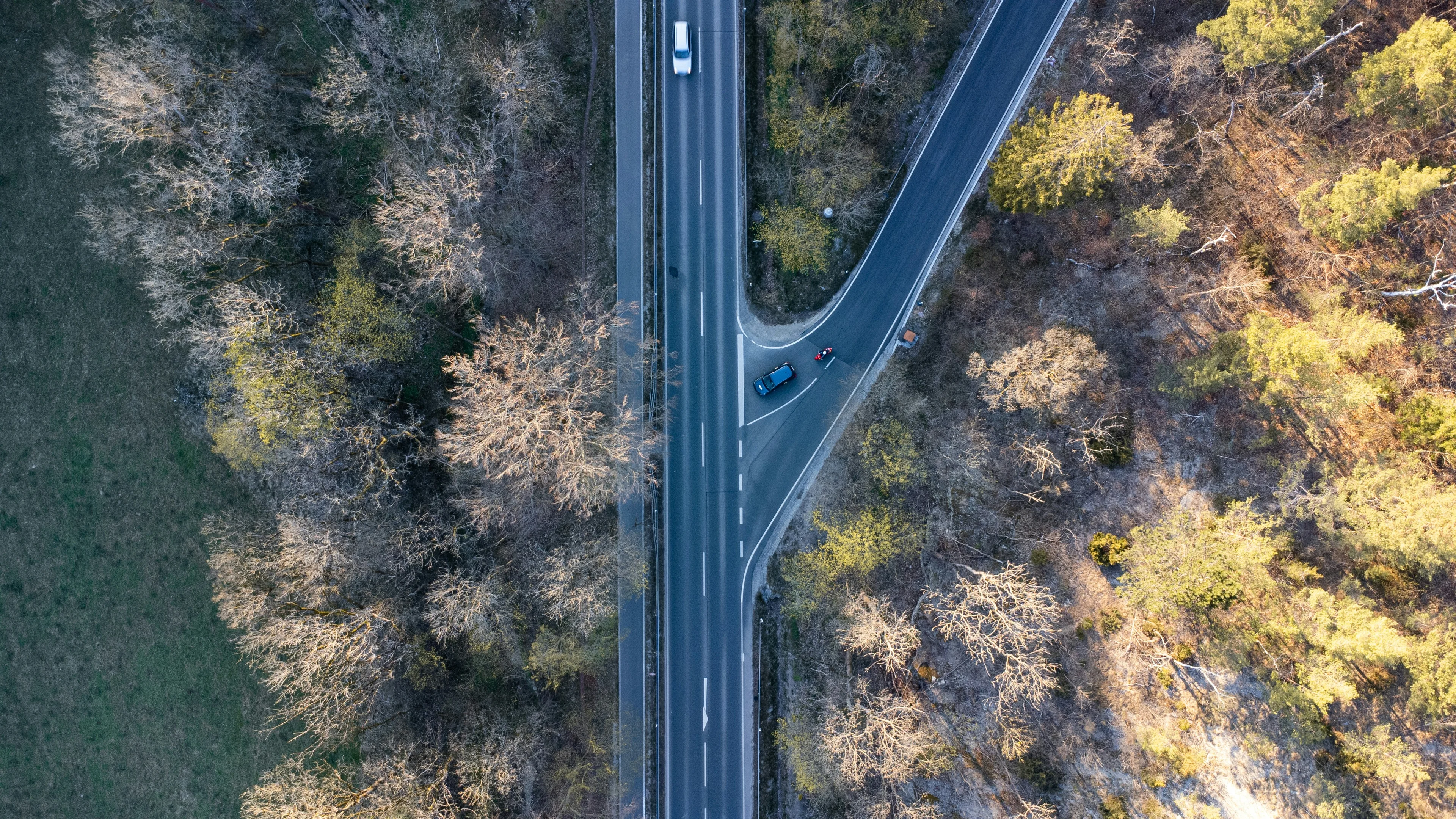 Road through trees with intersection
