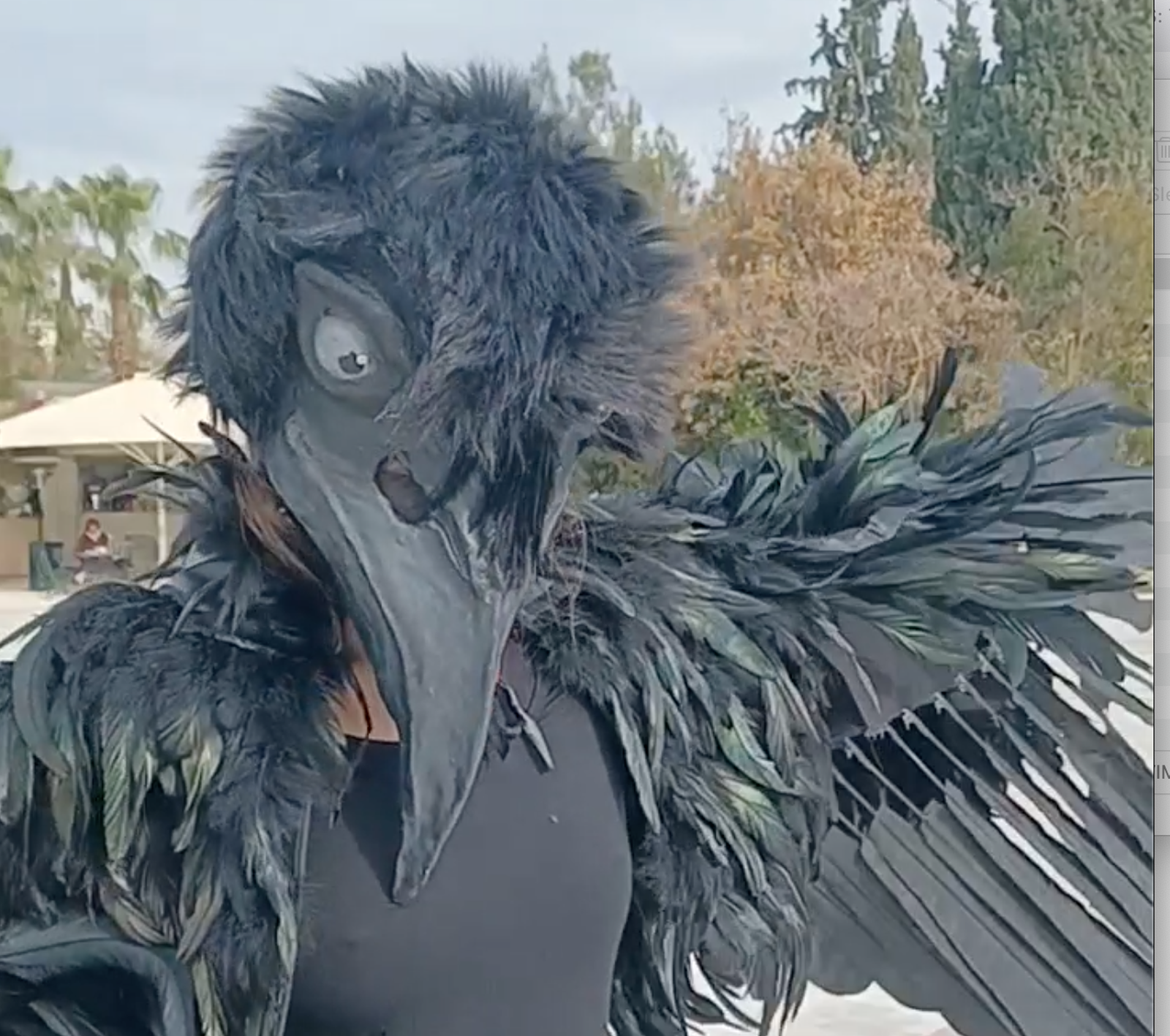 The bird experience pop up Athens