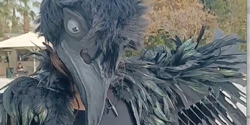 The bird experience pop up Athens