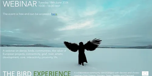 The bird experience seminar