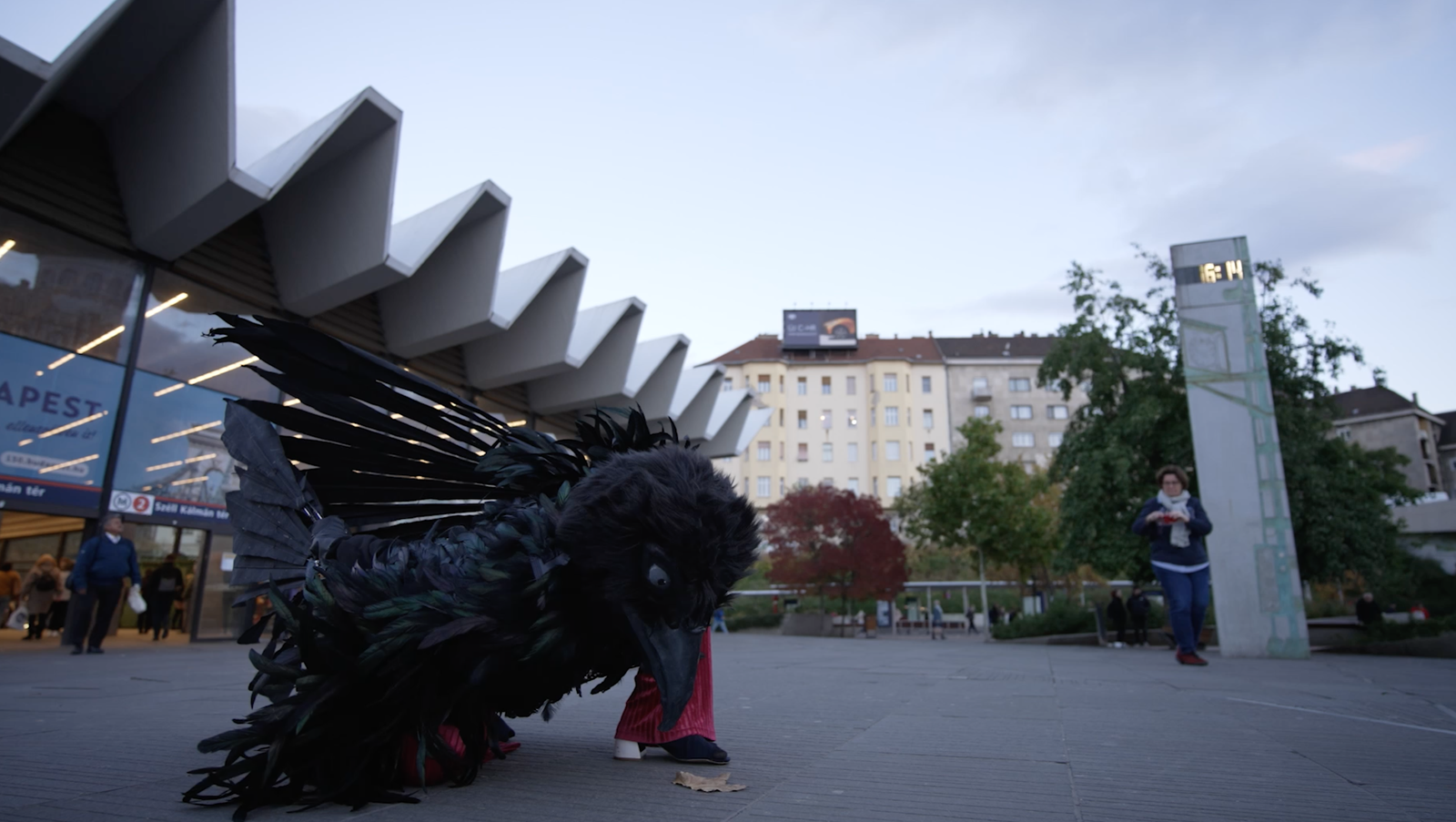 The bird experience - the symptoms